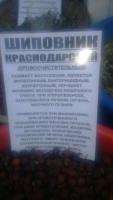 Продам шиповник