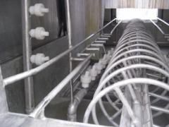 Таромоечная Машина ЯМ-250